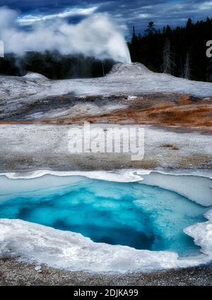 Herz-Feder mit Lion Gyser Eruping. Yellowstone-Nationalpark, Wyoming Stockfoto