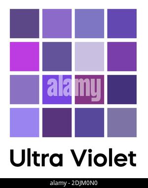 Palette von ultra violetten Tönen. Violette Farbvorlage. Schattierungen von Flieder Farbe. Vector farbigen Muster für Textilien und Innenarchitektur, Mode und Stock Vektor