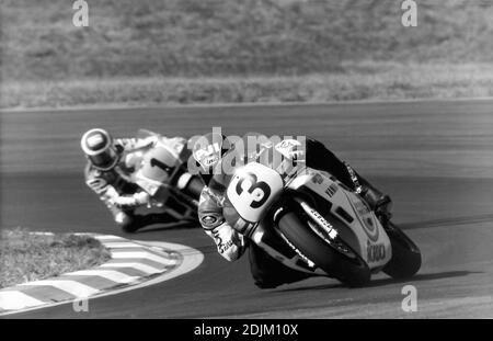 Randy Mamola (USA) Yamaha 500, Moto GP 1984 Stockfoto