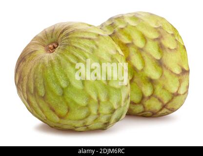 Cherimoya Pfad isoliert auf weiß Stockfoto