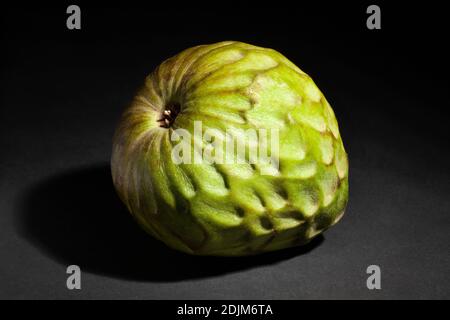 Ein Cherimoya auf schwarzem Hintergrund Stockfoto