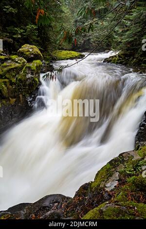 WA18726-00...WASHINGTON - EIN überfluteter, kaskadierter Bach in der Deception Falls National Recreation Area entlang des Highway 2. Stockfoto