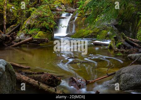 WA18730-00...WASHINGTON - kleiner Bach, der durch die Deception Falls National Recreation Area entlang des Highway 2 fließt. Stockfoto