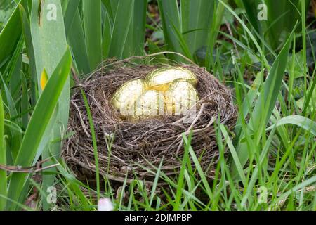 Nest mit Schokoladeneiern versteckt im Gras für Ostern Stockfoto