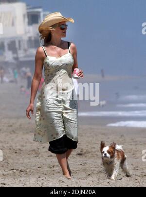 Rosanna Arquette macht einen Spaziergang am Strand mit einem Freund, während mit einigen Hunden holen spielen. Vielleicht ist die Schauspielerin müllbewusst, da sie einen mit Sand gefüllten Kanister Joghurt wegschmissen scheint. Malibu, Kalifornien, 9/06 Stockfoto