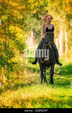 Schöne blonde weibliche Reiter auf einem Pferd ohne Pfanne, in den Wäldern in der untergehenden Sonne, Herbsttag. Reiten, Reiten. Stockfoto