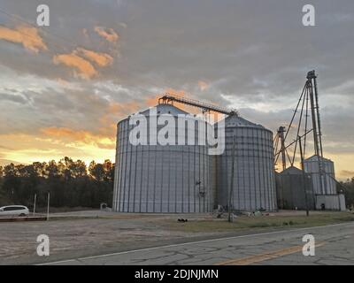 Burke County, GA USA - 12 14 20: Industriefarmtanks und der Morgenhimmel Stockfoto