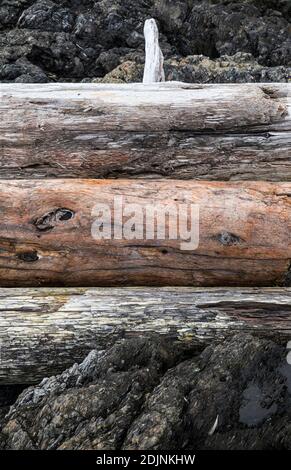 Driftwood-Baumstämme stapelten sich an der felsigen Küste - American Camp National Historical Park, San Juan Island, Washington, USA. Stockfoto