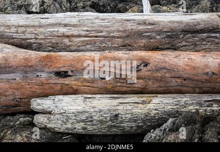 Driftwood-Baumstämme stapelten sich an der felsigen Küste - American Camp National Historical Park, San Juan Island, Washington, USA. Stockfoto