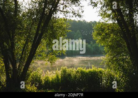 Bielefeld, obersee, Sonnenaufgang, Sonnenaufgang, Stausee Stockfoto