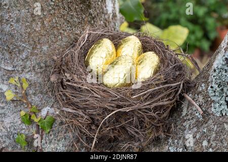 Nest with four chocolate eggs between the branches of a tree for Easter Stockfoto