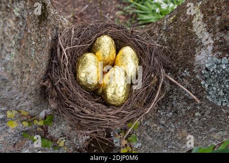 Nest mit Schokoladeneiern zwischen den Zweigen eines Baumes Zu Ostern Stockfoto