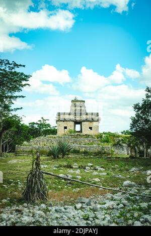 Maya älteste Stadt 'zibilchaltún Ruine' in Merida, Mexiko Stockfoto