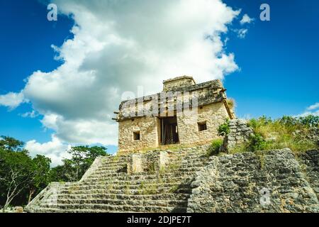 Maya älteste Stadt 'zibilchaltún Ruine' in Merida, Mexiko Stockfoto