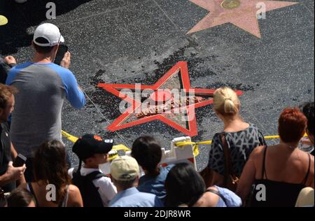 Ein Mann entstellte den Star des republikanischen Präsidentschaftskandidaten Donald Trump auf dem Hollywood Walk of Fame am Mittwoch und hackte den goldenen Schriftzug mit seinem Namen und dem Fernsehlogo heraus. Der Vandalisierte Stern wird am 26. Oktober 2016 in Los Angeles, Kalifornien, repariert und aufgeräumt. Foto von Lionel Hahn/AbacaUsa.com Stockfoto