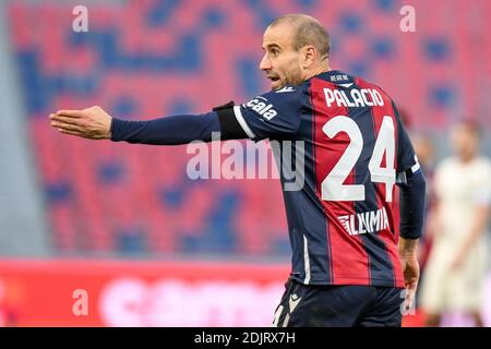 Bologna, Italien. Dezember 2020. Bologna, Italien, Dall'Ara Stadion, 13. Dezember 2020, Rodrigo Palacio (Bologna) Portrait während Bologna FC vs AS Roma - Italienische Fußball Serie A Spiel Credit: Ettore Griffoni/LPS/ZUMA Wire/Alamy Live News Stockfoto