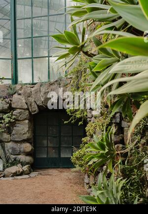 Gewächshaus in Estufa Fria Botanic Gardens Stockfoto