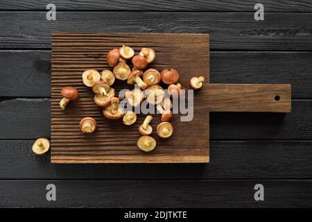 Essbare Waldpilze. Roh Slippery Jacks (Suillus luteus) auf Eichenbrett oben Ansicht Copyspace Stockfoto