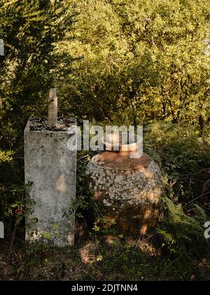 Getucktes Licht auf große Vase in portugiesischer Landschaft Stockfoto