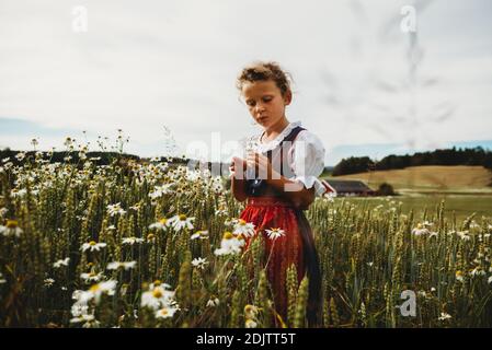 Schönes Mädchen sammeln Daisen auf Feld in Norwegen tragen Kleid Stockfoto