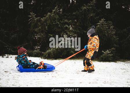 Kind zieht Schlitten mit Bruder sitzen auf sie in ihrer Hinterhof Stockfoto