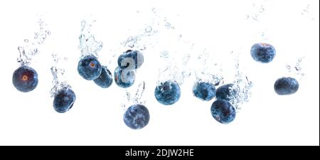 Panorama der Blaubeeren versinken unter Wasser mit Luftblasen auf weißem Hintergrund. Beerenfrucht Thema. Stockfoto