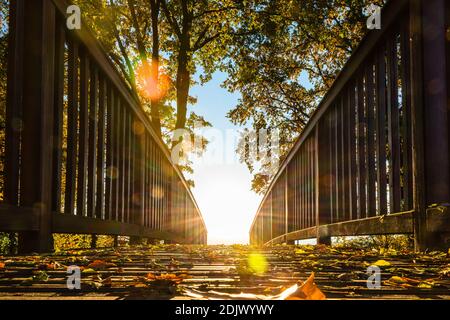 Ein schöner Schuss von einer Brücke mit Herbstblättern bedeckt Bei Sonnenlicht Stockfoto
