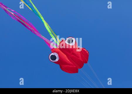 Drachen in Form eines Kraken, mit abstrakten Linien in Bewegung, in lebendigen Farben, von faltigen Stoffen gebildet, die leicht auf einem einfarbigen Hintergrund schweben Stockfoto