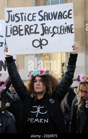 Demonstration in Anwesenheit der Komödianten Annie Duperey, Daniele Evenou, Eva Darlan, Mitglieder von Inna Shevchenko und Femen sowie der Anwälte Janine Bonaggiunta und Nathalie Tomasini am 10. Dezember 2016 auf dem Trocadero vor dem Eiffelturm in Paris, Frankreich, mit dem Aufruf zur Freilassung von Jacqueline Sauvage aus dem Gefängnis. Das Pariser Berufungsgericht wies am 24. November 2016 den Antrag auf Bewährung für Jacqueline Sauvage zurück, die wegen Mordes an ihrem gewalttätigen Ehemann zu 10 Jahren Haft verurteilt wurde, trotz einer teilweisen Begnadigung des französischen Präsidenten Francois Hollande. Foto von Alain Apaydin/ABACAPRES Stockfoto