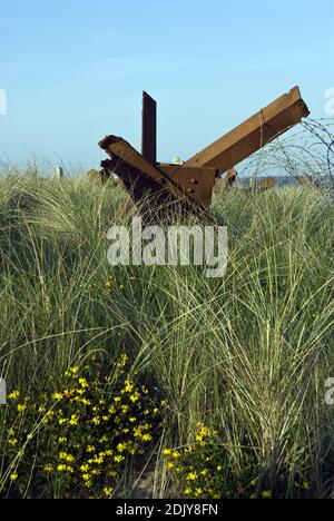 Ein 'tschechischer Igel', ein deutsches Panzerhindernis aus Metallbalken am Utah Beach, Normandie, Frankreich. Stockfoto