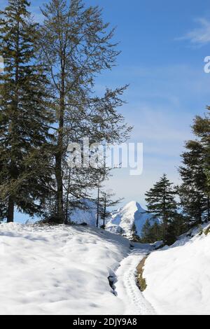 Traumweg auf dem Kranzberg bei Mittenwald, Blick auf die Alpspitze im Zugspitzmassiv Stockfoto