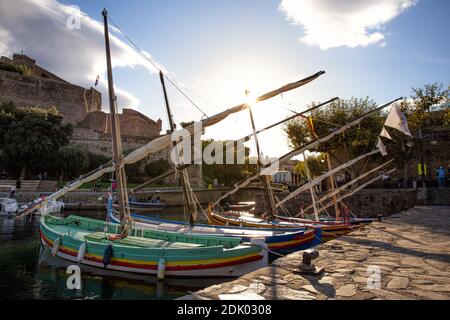 Katalanische Boote im Hafen von Collioure, Stockfoto