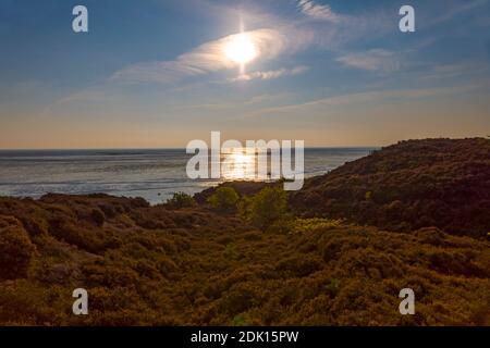 Braderuper Heide, Sylt, Schleswig-Holstein, Deutschland Stockfoto