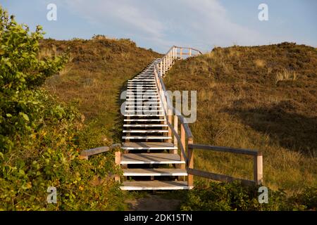 Holztreppe in der Holztreppe in der Braderuper Heide, Sylt, Schleswig-Holstein, Deutschland Stockfoto
