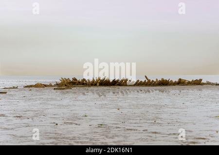 Schiffswrack 'Mariann' im Wattenmeer, Braderup, Sylt, Deutschland Stockfoto