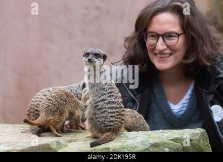 Hanover, Germany. 10th Dec, 2020. Julia Zwehl squats behind meerkats at the Hannover Zoo. Hannover Zoo has created new donation sponsorships, also to keep in touch with visitors. But do animal sponsorships help the zoos through the Corona crisis? Credit: Julian Stratenschulte/dpa/Alamy Live News Stock Photo