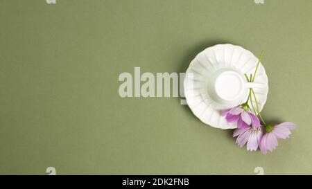 White empty mug cup with common cosmos flowers on khaki green background. top view, copy space Stockfoto
