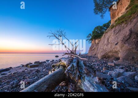 Deutschland, Schleswig-Holstein, Lübecker Bucht, Brodtenklippen zwischen dem Ostseebad Travemünde und dem Ostseebad Niendorf, Stockfoto