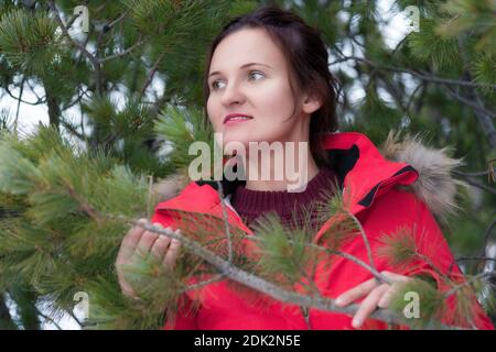 Nette Brünette Frau mit langen Haaren in roten Winterjacke und braunen Pullover im Pinienwald stehend gekleidet und halten Zweig mit Nadeln in den Händen. Stockfoto