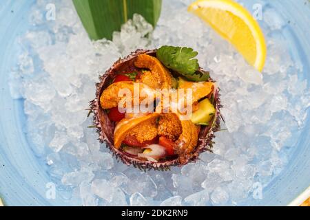 Seeigel in einer Keramikschale mit Eis auf. Seeigel Gericht. Stockfoto