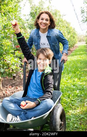 Mutter und Sohn mit Schubkarre auf einem Obstgarten, Junge hält frisch gepflückte Äpfel in der Hand Stockfoto