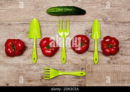 Üppige rohe Tomaten, Gurke, Gartengeräte einschließlich Schaufel, Rechen. Garten und Hof Pflege Hintergrund Textur. Flache Schablone Stockfoto