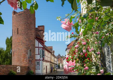 Deutschland, Schleswig-Holstein, Hansestadt Lübeck, Straße an der Mauer, Reste der Stadtmauer, Stockfoto