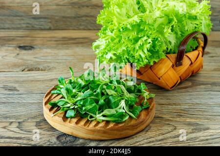 Valerianella locusta, Maissalat, Lammsalat. Frische grüne Maissalatblätter auf Holzschreibtisch. Stockfoto
