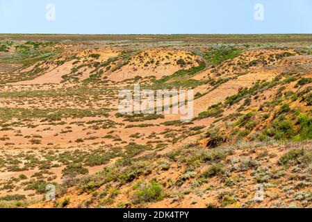 Landschaft mit trockenem geknackter Takir-Erde in Halbwüste. Stockfoto