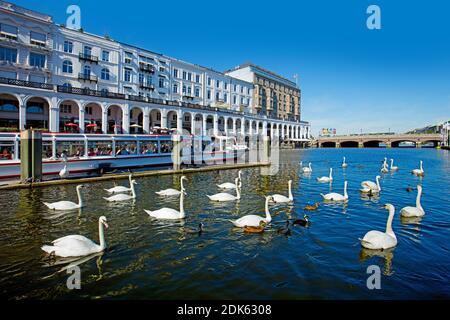 Germany, Hanseatic City of Hamburg, view over the Alsterfleet to the Alsterarkaden at the Rathausmarkt. Stock Photo