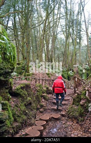 Man steigt im Winter in Puzzlewood auf, mit Schnee auf dem Boden. Coleford im Wald von Dean, Gloucestershire, England, Großbritannien Stockfoto