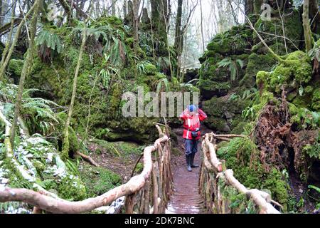 Puzzlewood im Winter, mit Schnee auf dem Boden. Coleford im Wald von Dean, Gloucestershire, England, Großbritannien Stockfoto