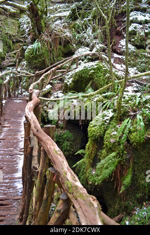 Puzzlewood im Winter, mit Schnee auf dem Boden. Coleford im Wald von Dean, Gloucestershire, England, Großbritannien Stockfoto