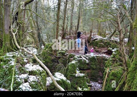 Puzzlewood im Winter, mit Schnee auf dem Boden. Coleford im Wald von Dean, Gloucestershire, England, Großbritannien Stockfoto